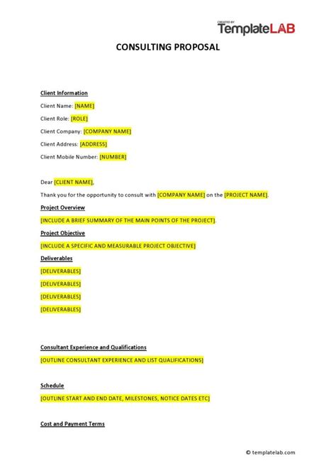 39 Best Consulting Proposal Templates Free Templatelab