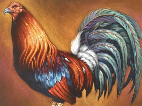 Rooster Cock Original Oil Painting On Black Velvet Jorge Torrones