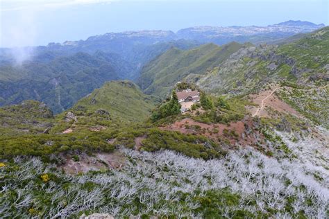 Visiter Le Pico Ruivo En Famille Les P Tits Covoyageurs Hot Sex