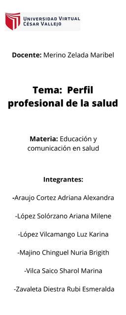 INFOGRAFIA PERFIL PROFESIONAL DE LA SALUD Ariana López Solórzano uDocz