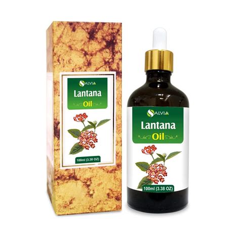 Lantana Oil Shoprythm