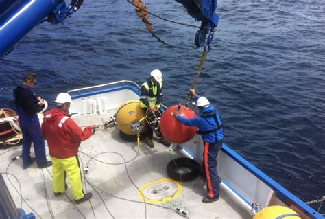 Scientists Uncover More Secrets From The Eastern Great Australian Bight