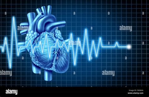 Ekg Graph With Electrocardiogram Of A Human Heart Representing The