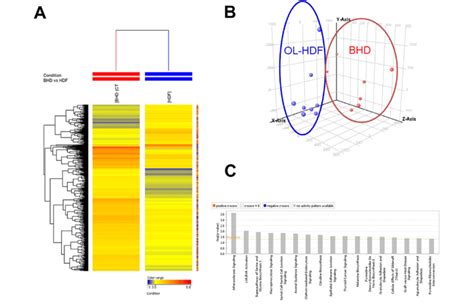 A Hierarchical Clustering Heat Map Of 868 Differentially Expressed Download Scientific Diagram