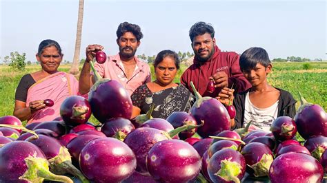 Brinjal Curry Gutti Vankaya Village Recipe Gully Cooks Youtube