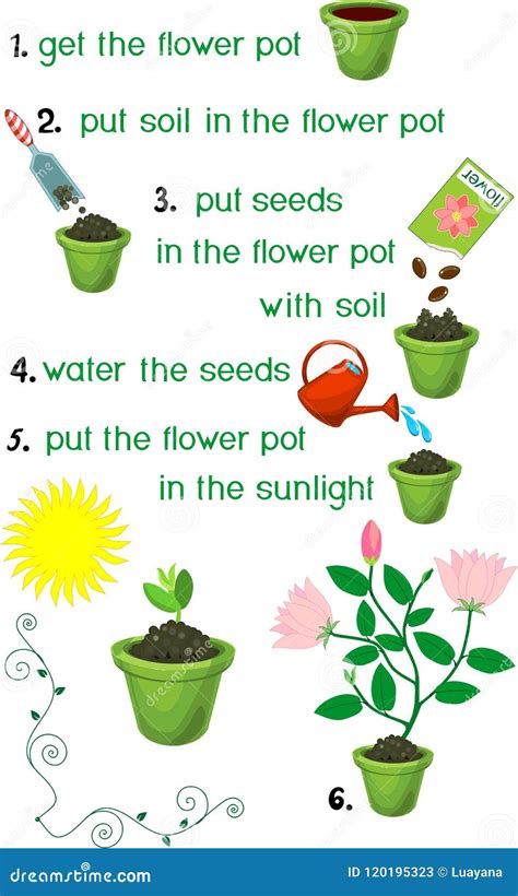 Plant Sequence Stock Illustrations – 1,026 Plant Sequence Stock ...