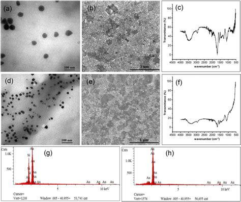 Characterization Of The As Synthesized Aunps Tem A And Sem B