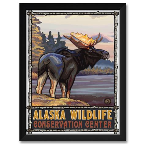 Alaska Wildlife Conservation Center Moose Framed Art Print By Paul A