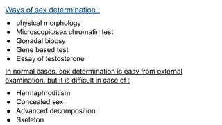 Sex Determination From Mandible Pelvis And Skull PPT