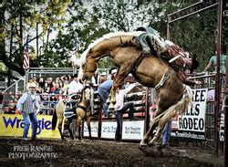 Annual Edgewood Pro Rodeo Days