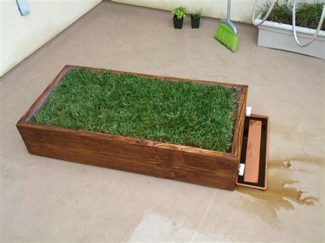 Indoor grass box for our dog! | Indoor dog potty, Dog area, Dog potty