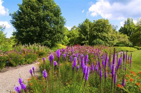 Planting Zones in Ohio | Hunker