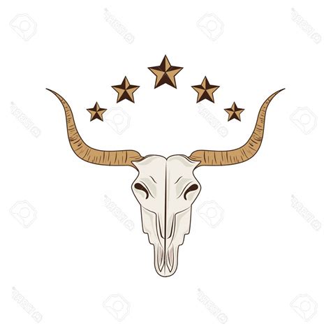 Cow Skull Vector At Vectorified Collection Of Cow Skull Vector