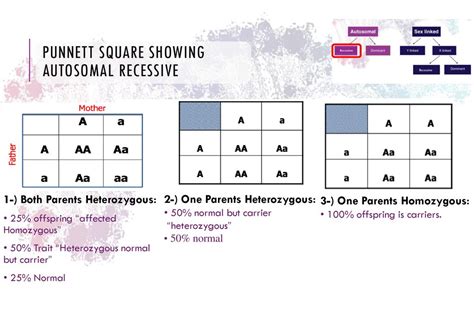 Autosomal Dominant Punnett Square