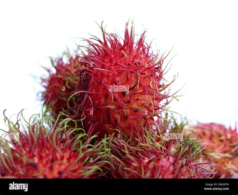 Tropical Fruit Rambutan Stock Photo Alamy