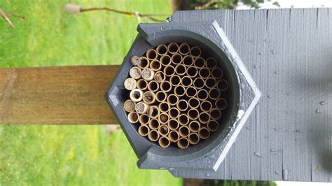 The 15+ Best Bee Hive Plans [Free] - MyMyDIY | Inspiring DIY Projects