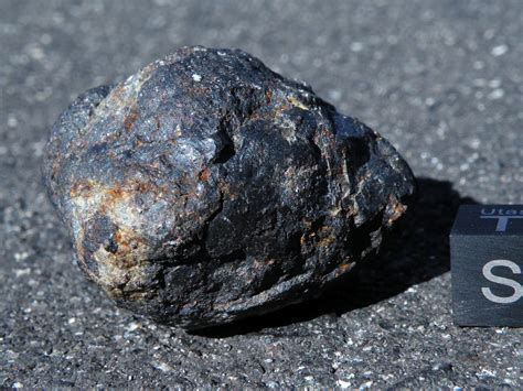 Meteorite Gallery, Photos, Information, Hunting, Research, Preservation