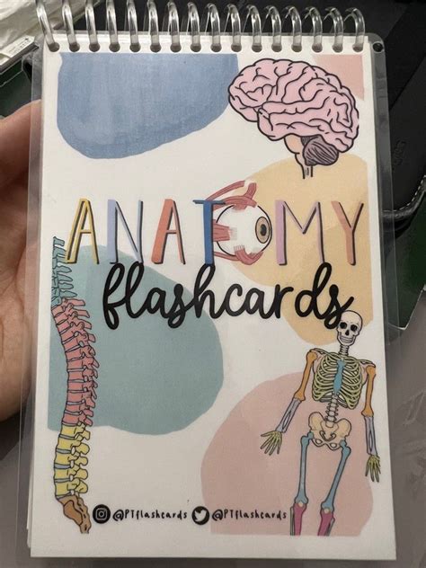 Anatomy Flashcards by PT Flashcards, Hobbies & Toys, Books & Magazines, Assessment Books on ...