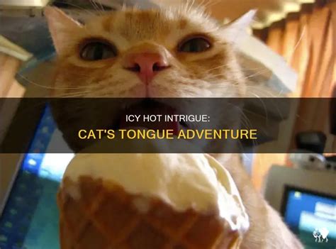 Icy Hot Intrigue Cat S Tongue Adventure PetShun
