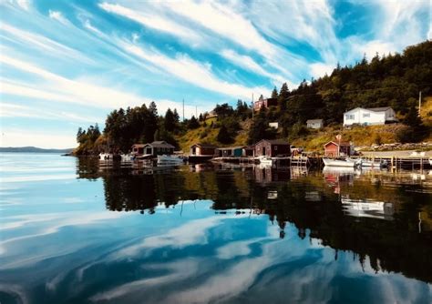 From Dildo To Witless Bay Where Did N L Get Its Unusual Place Names