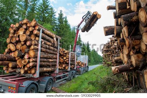 1,080,991 Harvesting Trees Images, Stock Photos & Vectors | Shutterstock