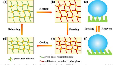 Figure From Superhydrophobicity Memory Surfaces Prepared By A