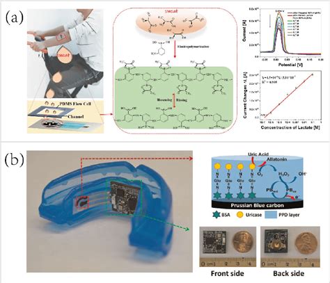 Wearable Voltammetric Amperometric Biosensors For Sweat Saliva