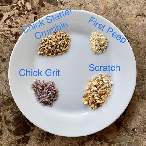 What You Need To Know About Chicken Grit