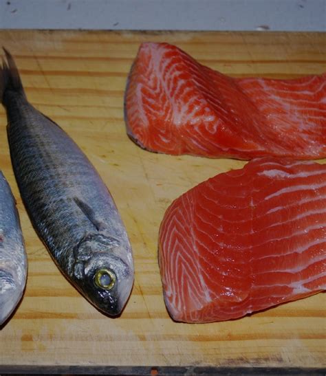 How Genetically Engineered Salmon Are Made