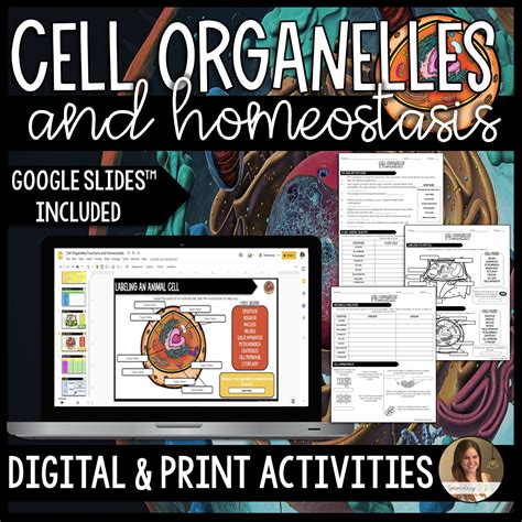 Cell Organelle Activity