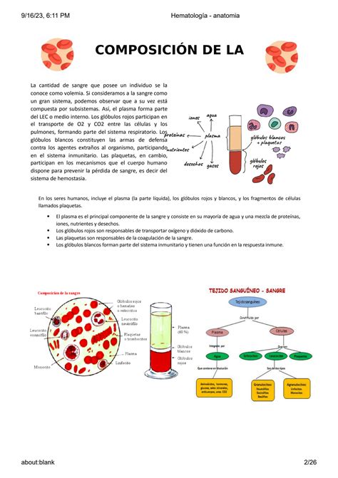 Solution Hematolog A Anatomia Complete Notes Studypool