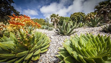 Ventnor Botanical Gardens