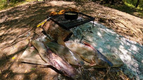 CAMPAMENTO DE PESCA Y COCINA en Rio Gualeguaychú aventura y bagres