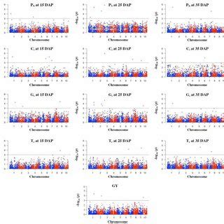 Manhattan Plots Of The Results Of A Genome Wide Association Study For