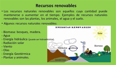 Recursos Renovables Ejemplos Y No Renovables Mica