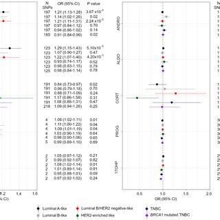 Sex Steroid Hormone Metabolism Pathway Metabolites Hormones Are