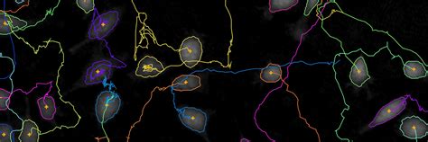 Single Cell Tracking Assay Holomonitor® Live Cell Assay Phi