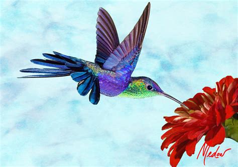 Hummingbird Purple Flower. Hummingbird art. Hummingbird | Etsy