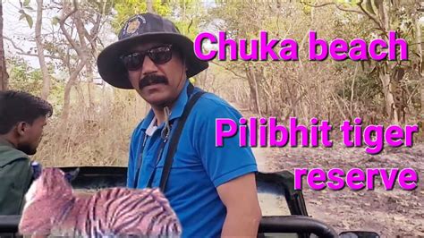 Chuka Beach Pilibhit Tiger Reserve Youtube