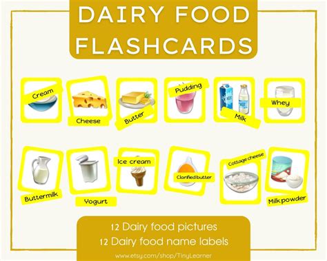 Buy Dairy Food Flashcard Food Groupmontessori Online In India Etsy