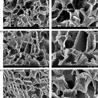 Morphology Of The Scaffolds Representative Sem Micrographs Of A