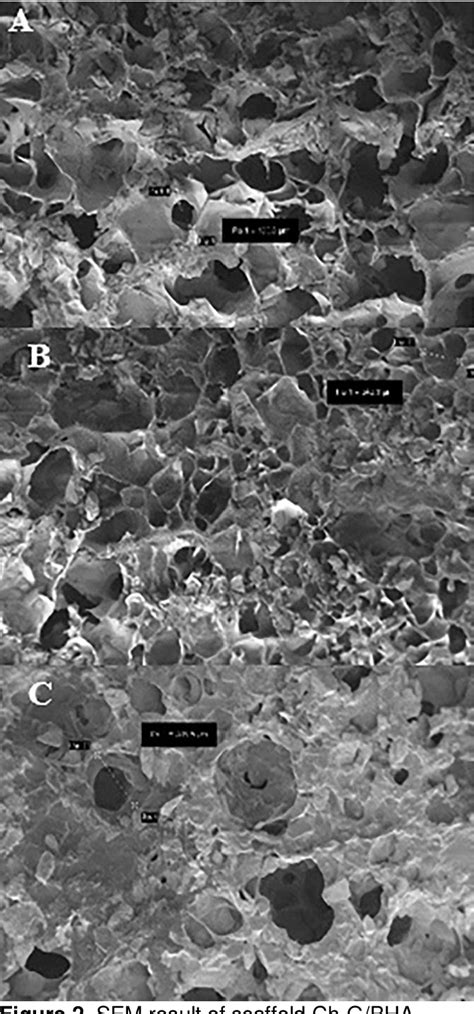 Figure From The Differences Scaffold Composition In Pore Size And