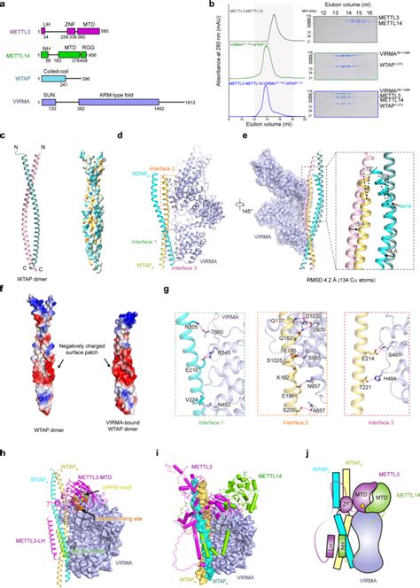 Ai Empowered Integrative Structural Characterization Of M A