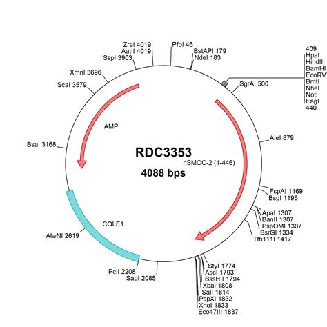 Human TROP 2 NP 002344 2 VersaClone CDNA RDC3062 R D Systems