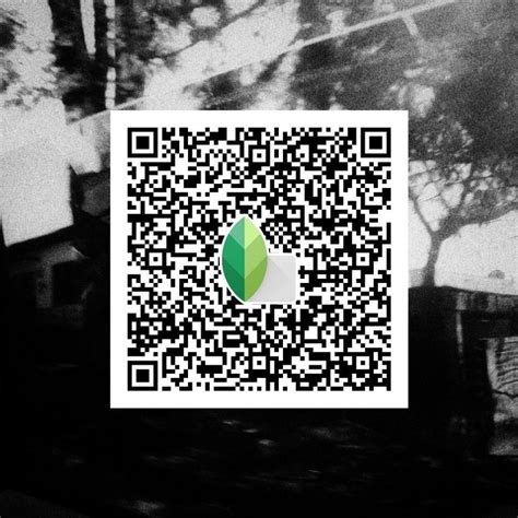 The 36 Best Snapseed QR Codes Presets Gridfiti Snapseed Coding