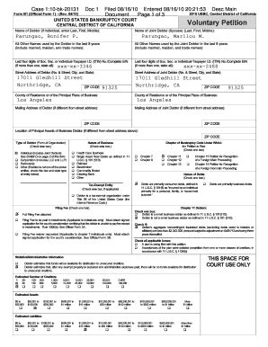 Fillable Online Voluntary Petition Bankrupt Fax Email Print