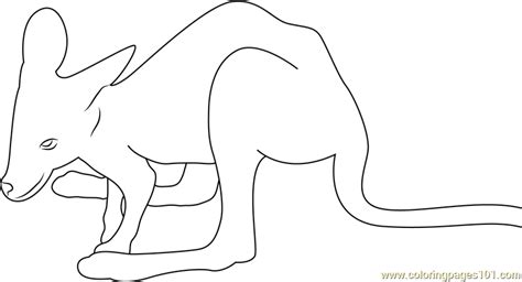 Baby Kangaroo Coloring Page for Kids - Free Kangaroo Printable Coloring ...