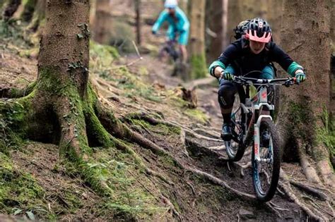 Best women's mountain bikes | Five of our favourite women's trail bikes ...