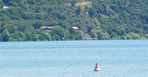 Si Tuffano Nel Lago Di Castel Gandolfo Ma Non Riemergono Dall Acqua