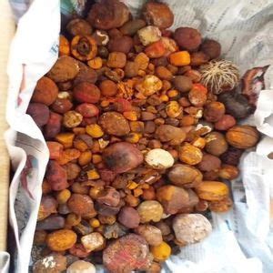 Buy Gallstones Ox Cow Bezoar Ox Gallstones From Natural Ox Cow